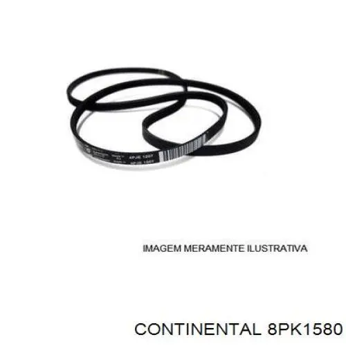 Correia dos conjuntos de transmissão Continental/Siemens 8PK1580 preço, a partir de 27,22 USD
