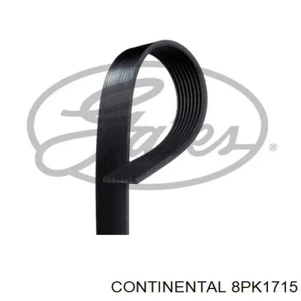 8PK1715 Continental/Siemens Correia dos conjuntos de transmissão