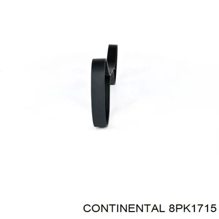 Compre 8PK1715 Continental/Siemens Correia dos conjuntos de transmissão