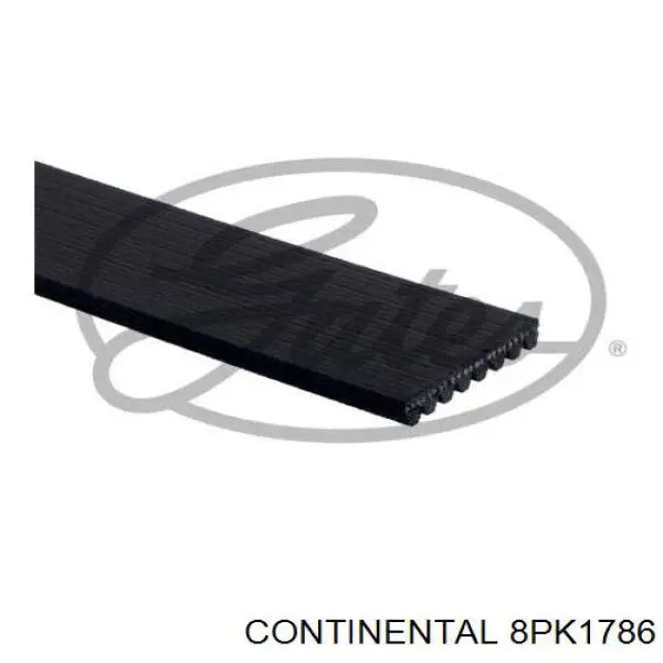 8PK1786 Continental/Siemens Correia dos conjuntos de transmissão