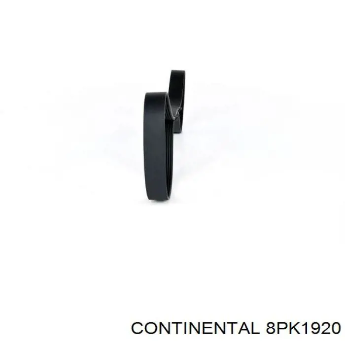 Correia dos conjuntos de transmissão Continental/Siemens 8PK1920 preço, a partir de 25,16 USD