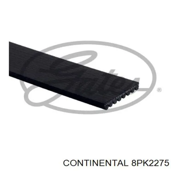 Compre 8PK2275 Continental/Siemens Correia dos conjuntos de transmissão