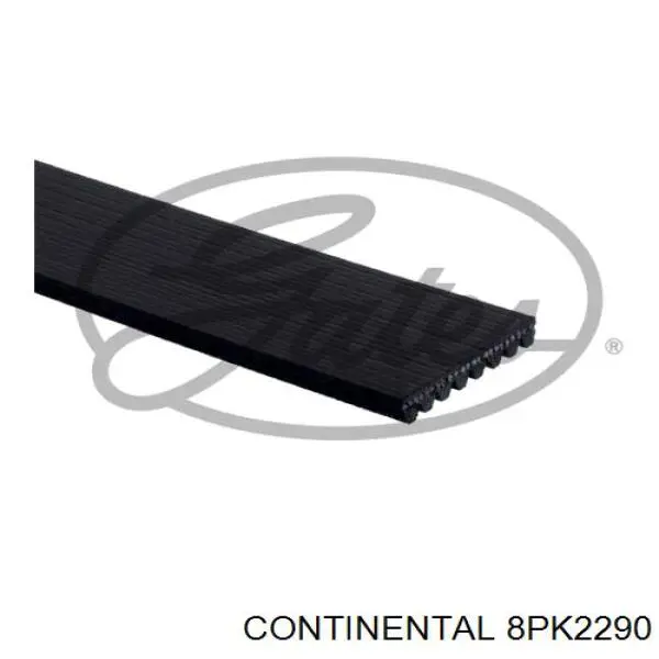 8PK2290 Continental/Siemens Correia dos conjuntos de transmissão