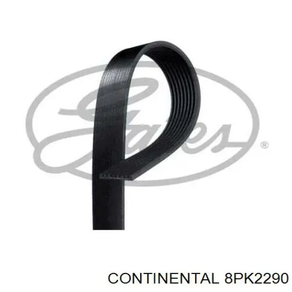 Compre 8PK2290 Continental/Siemens Correia dos conjuntos de transmissão