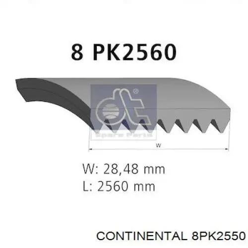 8PK2550 Continental/Siemens Correia dos conjuntos de transmissão