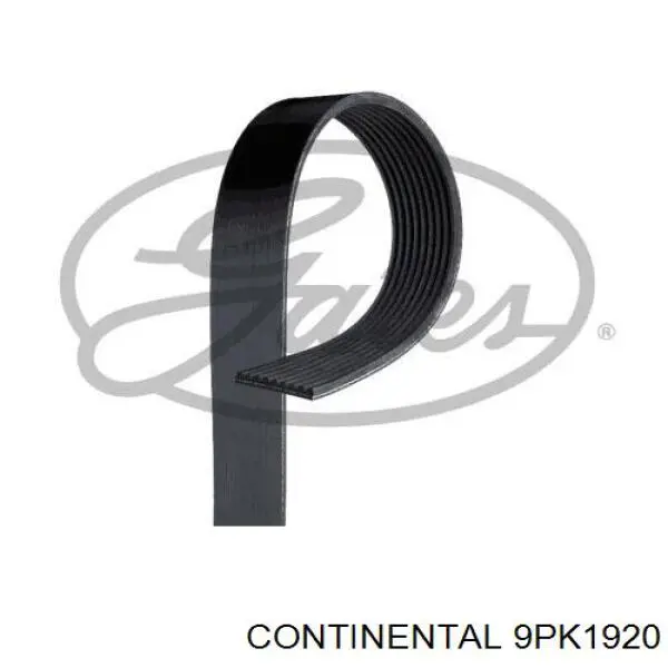 Correia dos conjuntos de transmissão Continental/Siemens 9PK1920 preço, a partir de 29,45 USD