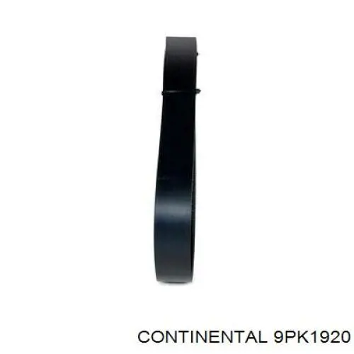 Compre 9PK1920 Continental/Siemens Correia dos conjuntos de transmissão