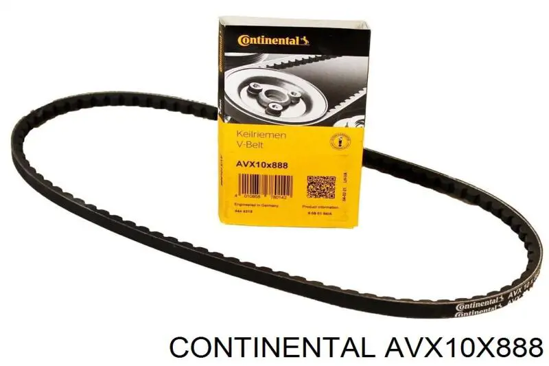 Compre AVX10X888 Continental/Siemens Correia dos conjuntos de transmissão