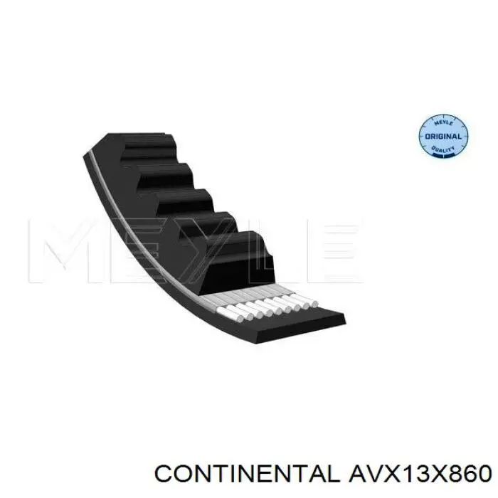 Compre AVX13X860 Continental/Siemens Correia dos conjuntos de transmissão