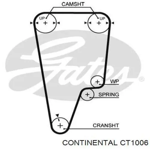 Correia do mecanismo de distribuição de gás Continental/Siemens CT1006 preço, a partir de 39,41 USD