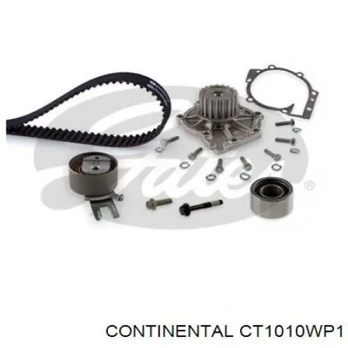 Compre CT1010WP1 Continental/Siemens Correia do mecanismo de distribuição de gás, kit