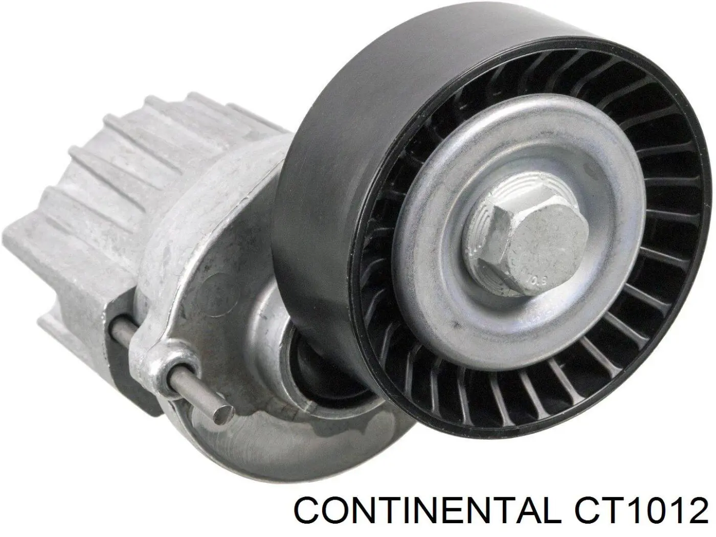 Correia do mecanismo de distribuição de gás Continental/Siemens CT1012 preço, a partir de 24,34 USD