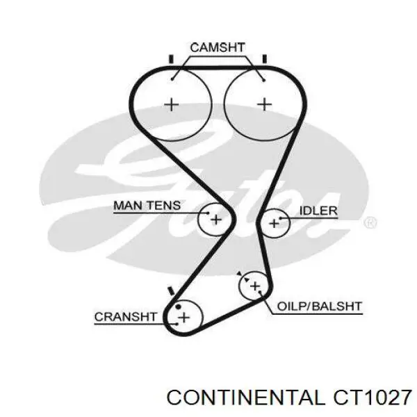 CT1027 Continental/Siemens Correia do mecanismo de distribuição de gás