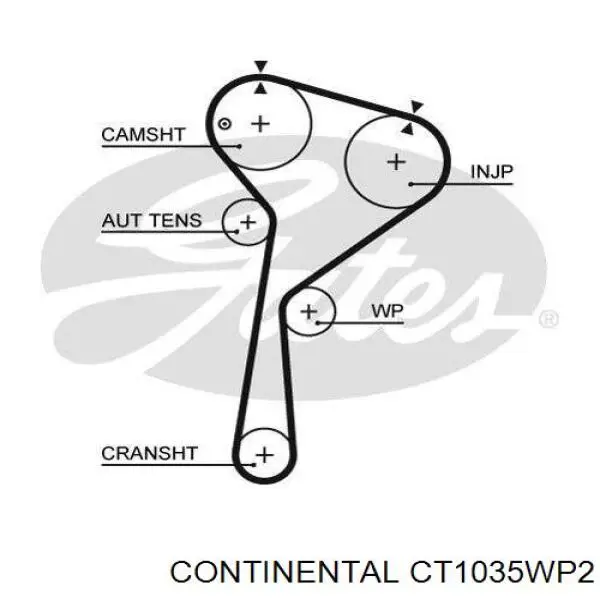 Compre CT1035WP2 Continental/Siemens Correia do mecanismo de distribuição de gás, kit
