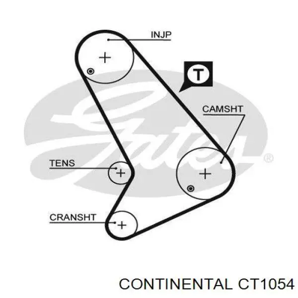 CT1054 Continental/Siemens Correia do mecanismo de distribuição de gás