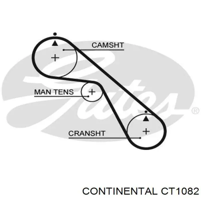Correia do mecanismo de distribuição de gás Continental/Siemens CT1082 preço, a partir de 32,44 USD