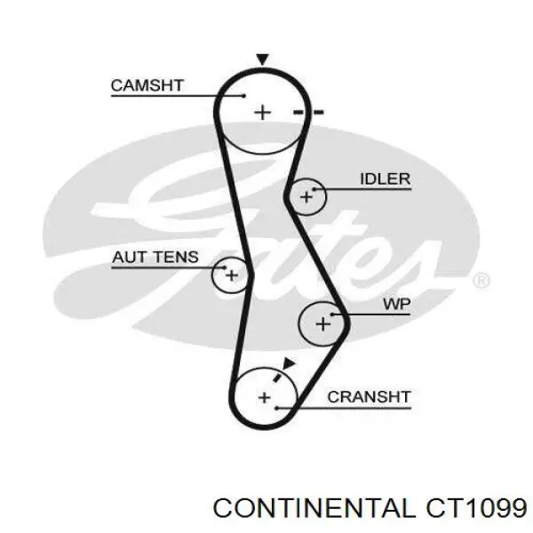 CT1099 Continental/Siemens Correia do mecanismo de distribuição de gás