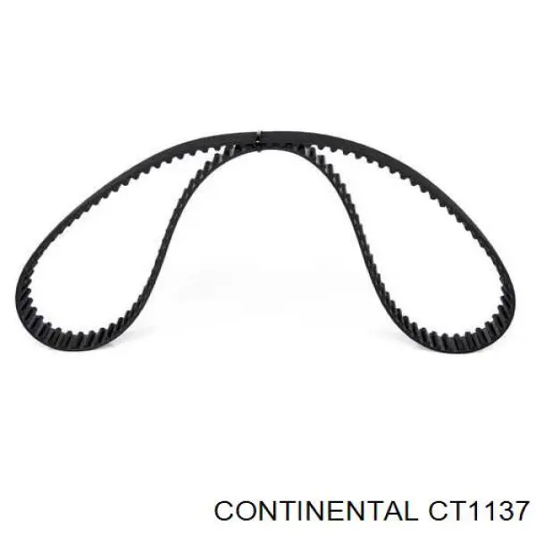 CT1137 Continental/Siemens Correia do mecanismo de distribuição de gás