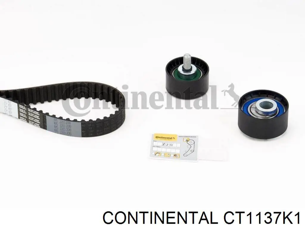 CT1137K1 Continental/Siemens Correia do mecanismo de distribuição de gás, kit