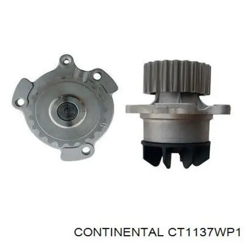 CT1137WP1 Continental/Siemens Correia do mecanismo de distribuição de gás, kit