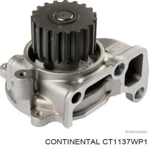 Correia do mecanismo de distribuição de gás, kit Continental/Siemens CT1137WP1 preço, a partir de 153,83 USD