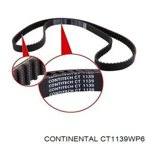 Compre CT1139WP6 Continental/Siemens Correia do mecanismo de distribuição de gás, kit