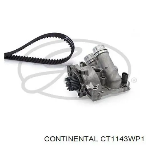 CT1143WP1 Continental/Siemens Correia do mecanismo de distribuição de gás, kit