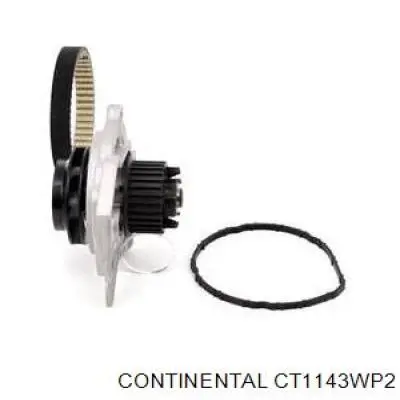 Compre CT1143WP2 Continental/Siemens Correia do mecanismo de distribuição de gás, kit