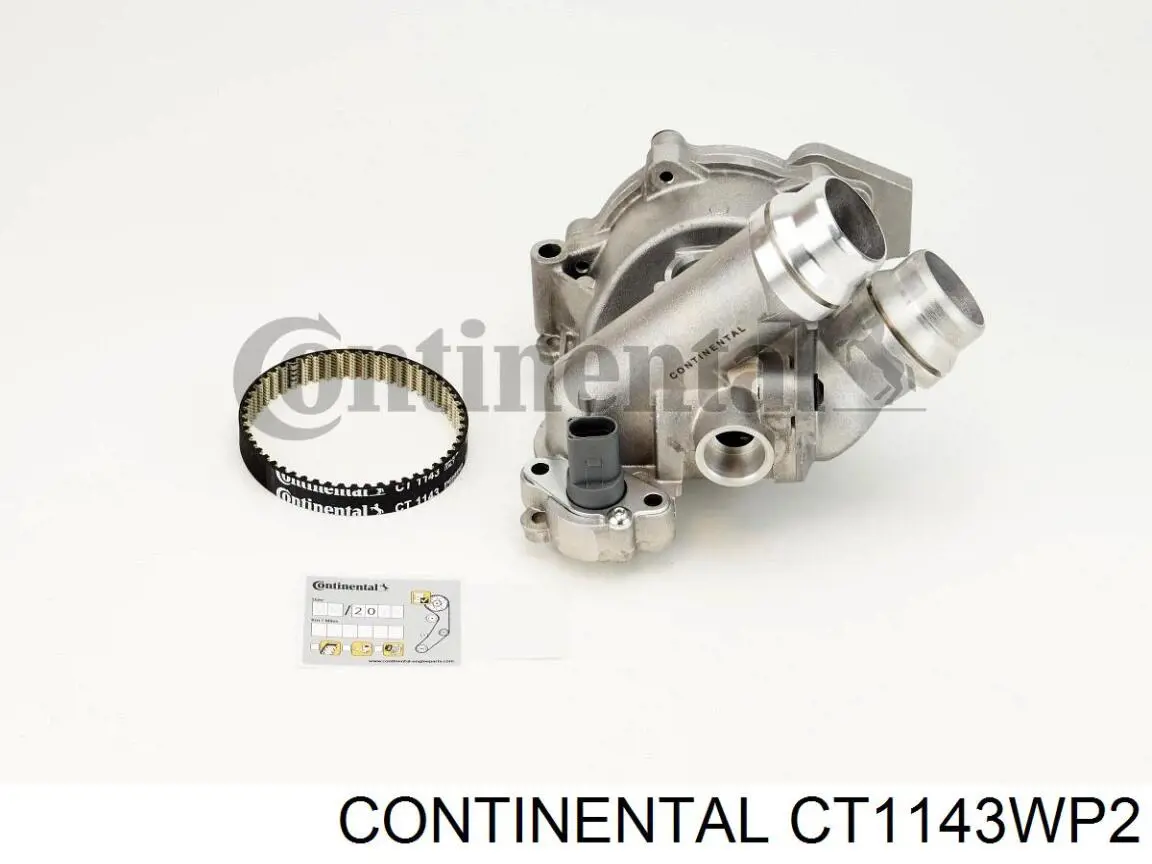 CT1143WP2 Continental/Siemens Correia do mecanismo de distribuição de gás, kit