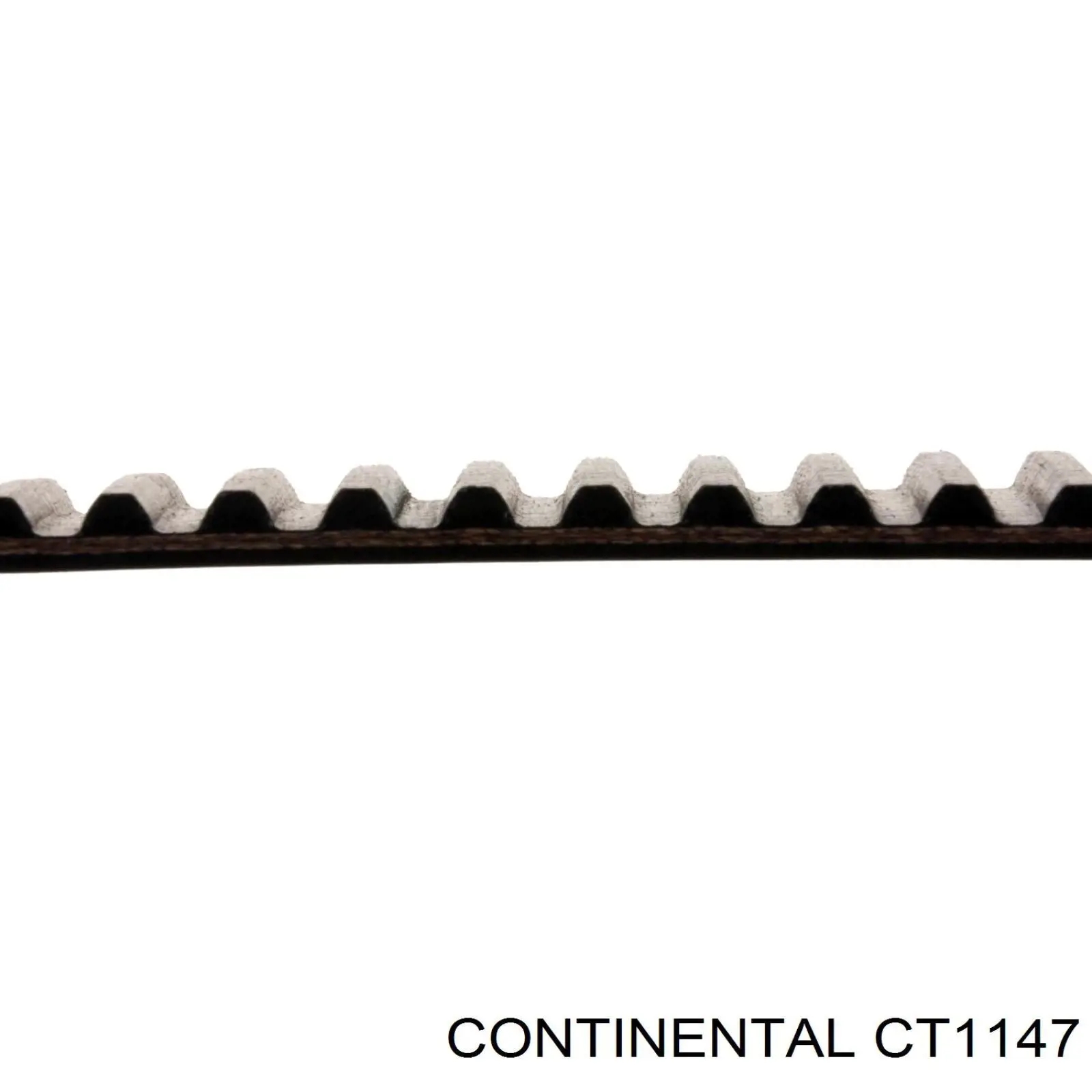 CT1147 Continental/Siemens Correia do mecanismo de distribuição de gás