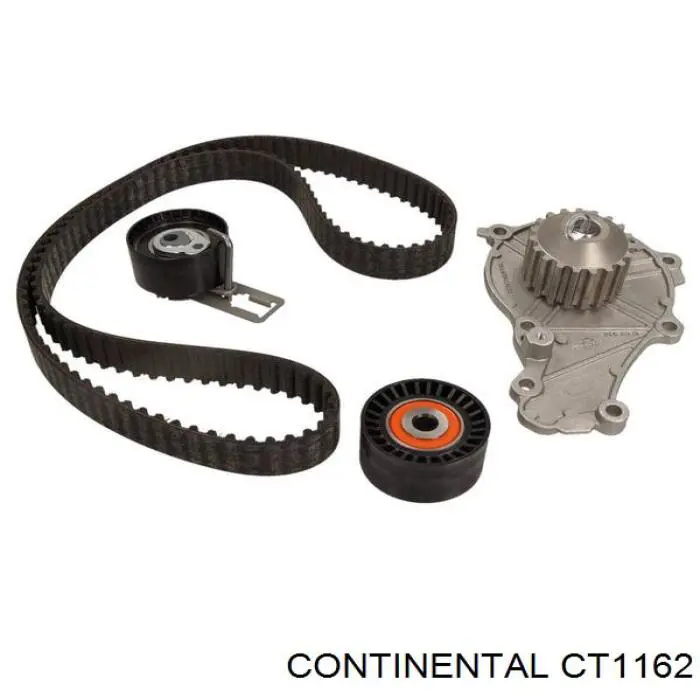 Compre CT1162 Continental/Siemens Correia do mecanismo de distribuição de gás