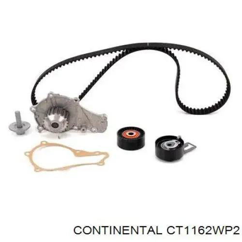 Compre CT1162WP2 Continental/Siemens Correia do mecanismo de distribuição de gás, kit