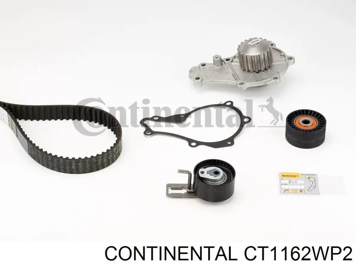 CT1162WP2 Continental/Siemens Correia do mecanismo de distribuição de gás, kit
