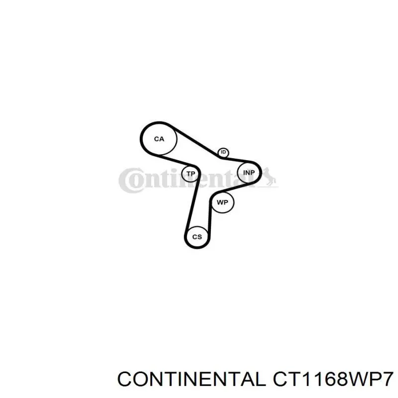CT1168WP7 Continental/Siemens Correia do mecanismo de distribuição de gás, kit