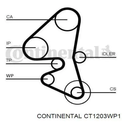 CT1203WP1 Continental/Siemens Correia do mecanismo de distribuição de gás, kit