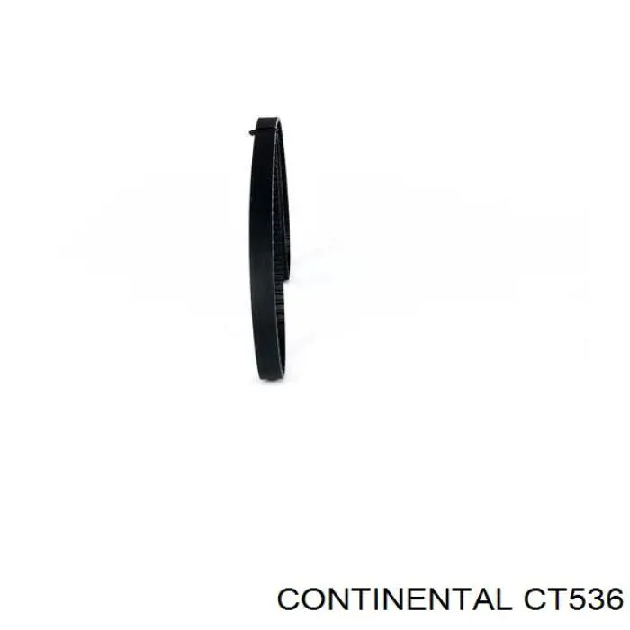 Compre CT536 Continental/Siemens Correia do mecanismo de distribuição de gás