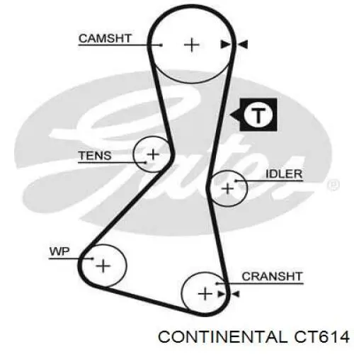 CT614 Continental/Siemens Correia do mecanismo de distribuição de gás