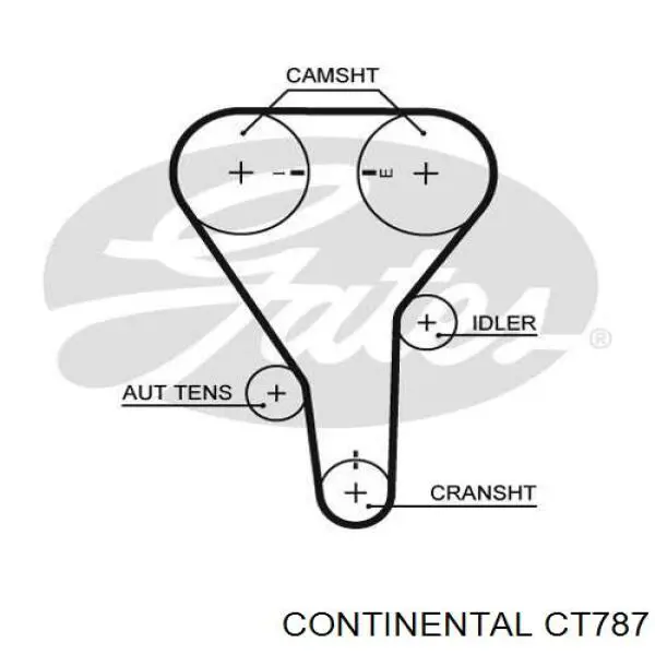 Correia do mecanismo de distribuição de gás Continental/Siemens CT787 preço, a partir de 30,87 USD