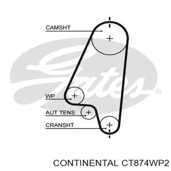 CT874WP2 Continental/Siemens Correia do mecanismo de distribuição de gás, kit