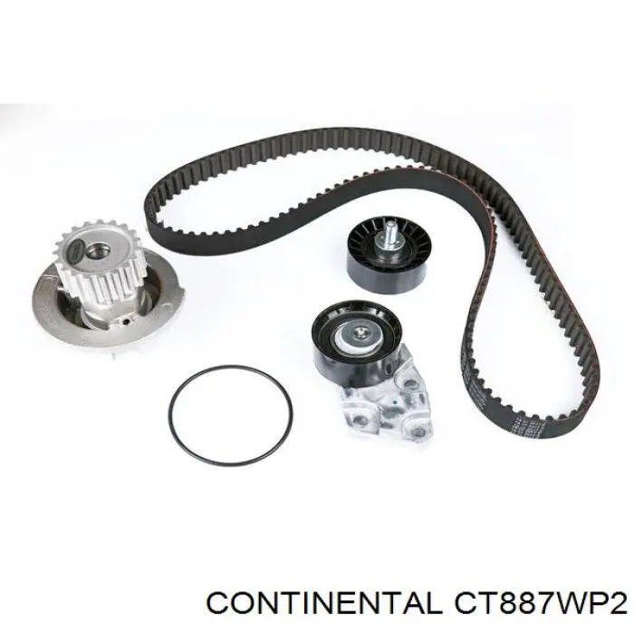 CT887WP2 Continental/Siemens Correia do mecanismo de distribuição de gás, kit