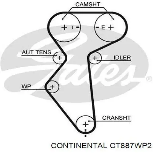 Correia do mecanismo de distribuição de gás, kit Continental/Siemens CT887WP2 preço, a partir de 104,39 USD