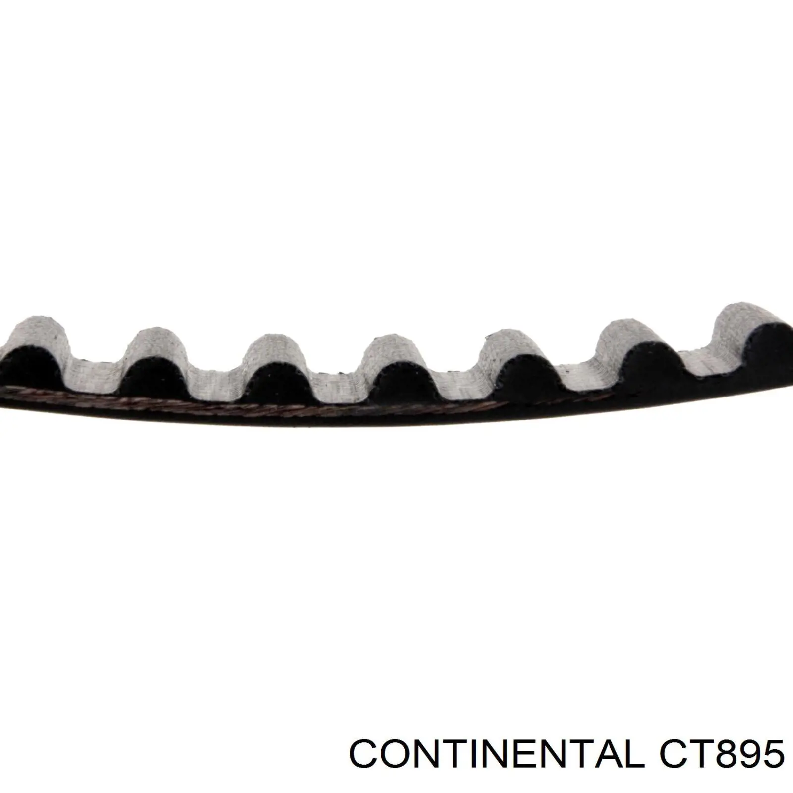 CT895 Continental/Siemens Correia do mecanismo de distribuição de gás