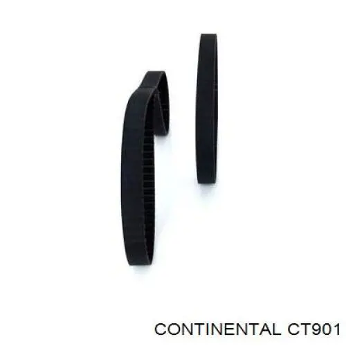 CT901 Continental/Siemens Correia do mecanismo de distribuição de gás