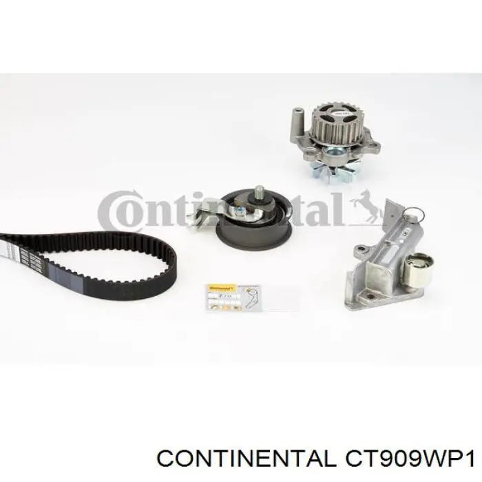 CT909WP1 Continental/Siemens Correia do mecanismo de distribuição de gás, kit