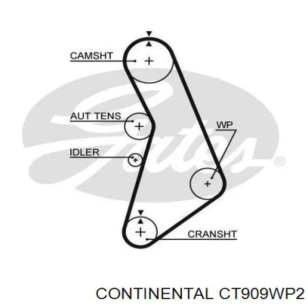 Correia do mecanismo de distribuição de gás, kit CT909WP2 Continental/Siemens