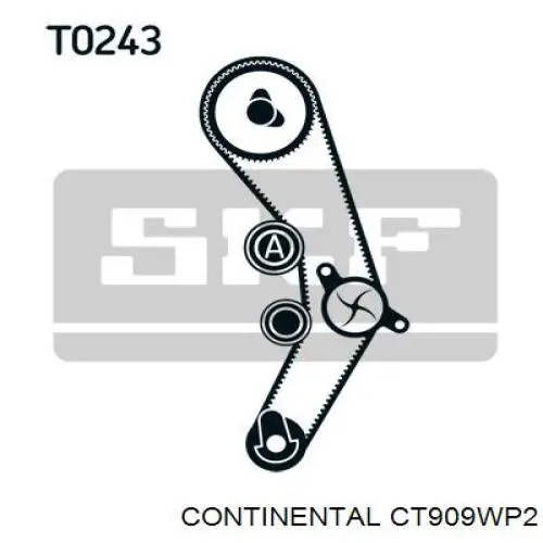 Correia do mecanismo de distribuição de gás, kit Continental/Siemens CT909WP2 preço, a partir de 229,69 USD