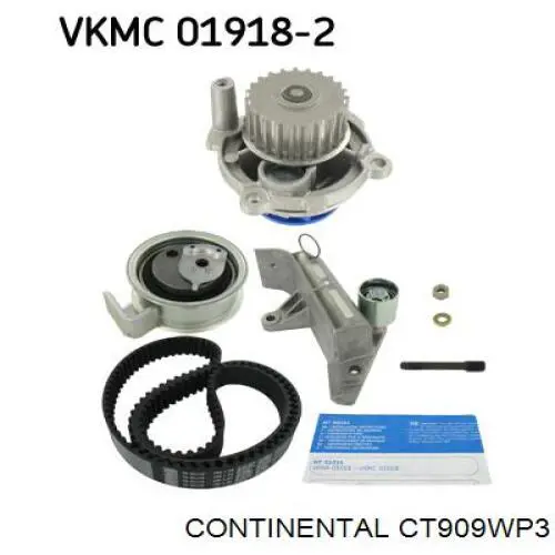 Compre CT909WP3 Continental/Siemens Correia do mecanismo de distribuição de gás, kit