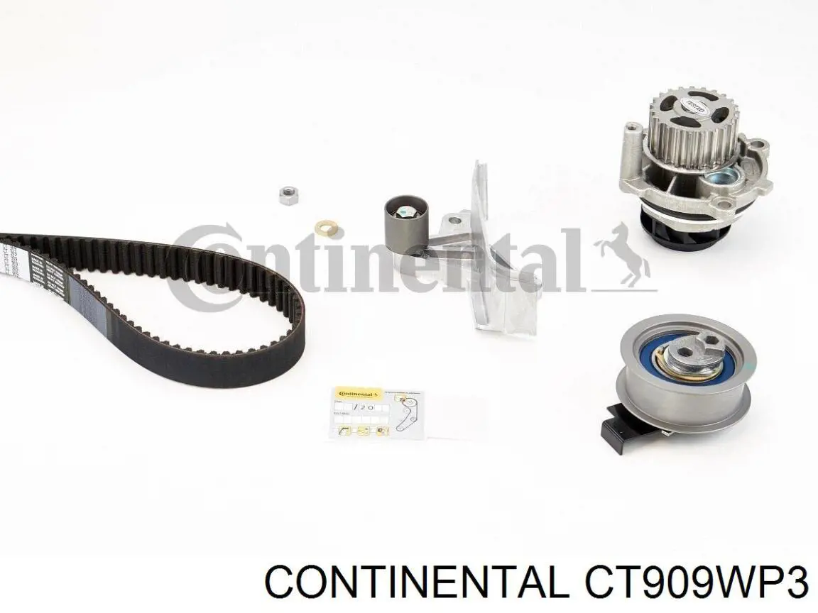 CT909WP3 Continental/Siemens Correia do mecanismo de distribuição de gás, kit