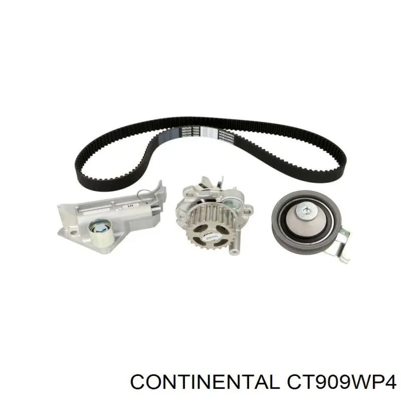 CT909WP4 Continental/Siemens Correia do mecanismo de distribuição de gás, kit