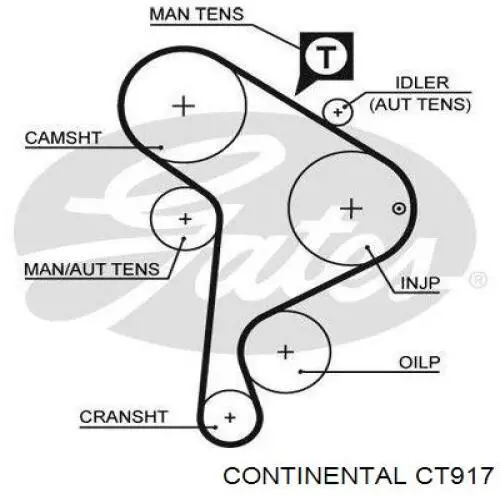CT917 Continental/Siemens Correia do mecanismo de distribuição de gás